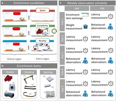 Structural enrichment for laboratory mice: exploring the effects of novelty and complexity